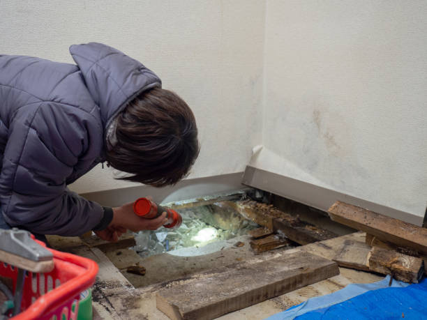 Best HVAC Mold Inspection and Cleaning  in Jurupa Valley, CA
