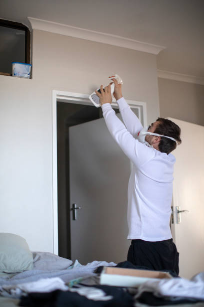 Best Post-Construction Mold Inspection  in Jurupa Valley, CA