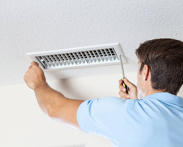 Professional Mold Removal in Jurupa Valley, CA