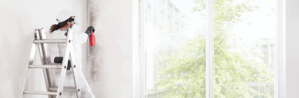 Mold Remediation for Vacation Homes in Jurupa Valley, CA